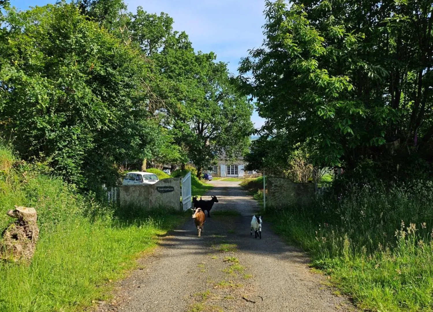 Les Gites De Koatephani Et Ses Animaux Gouezec 0*,  France